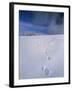Foot Steps in the Snow, Kandel Mountain, Black Forest, Baden Wurttemberg, Germany, Europe-Marcus Lange-Framed Photographic Print