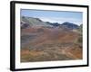 Foot Trail Through Haleakala Volcano Crater Winds Between Red Cinder Cones, Maui, Hawaiian Islands-Tony Waltham-Framed Photographic Print