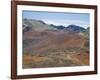 Foot Trail Through Haleakala Volcano Crater Winds Between Red Cinder Cones, Maui, Hawaiian Islands-Tony Waltham-Framed Photographic Print