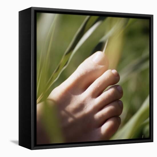 Foot-Cristina-Framed Stretched Canvas