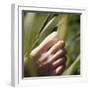 Foot-Cristina-Framed Premium Photographic Print