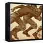 Football 1-null-Framed Stretched Canvas
