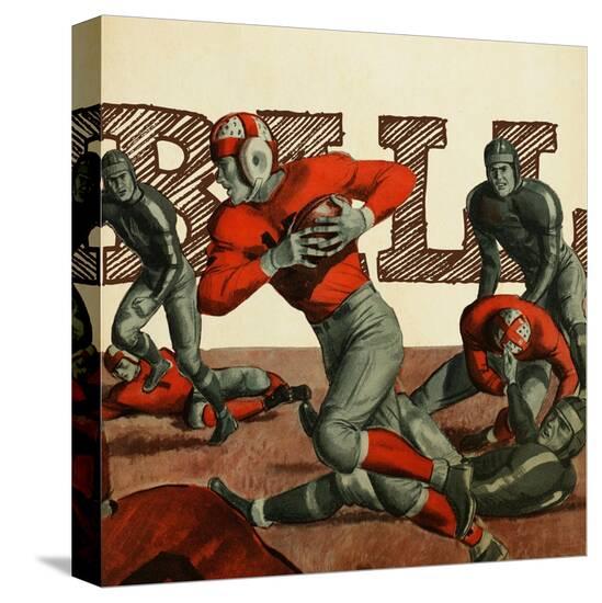 Stretched Canvas Print, , large