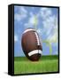 Football and field goal-Gaetano-Framed Stretched Canvas