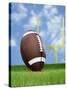 Football and field goal-Gaetano-Stretched Canvas