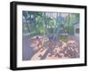 Football, Bentota, Sri Lanka, 1998-Andrew Macara-Framed Giclee Print