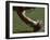 Football Center About to Snap the Ball-Paul Sutton-Framed Photographic Print