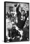 Football: Chicago Bears Dick Butkus No.51 in Action, Blocking Passing Attempt Vs La Rams-Bill Eppridge-Framed Stretched Canvas