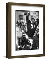 Football: Chicago Bears Dick Butkus No.51 in Action, Blocking Passing Attempt Vs La Rams-Bill Eppridge-Framed Photographic Print