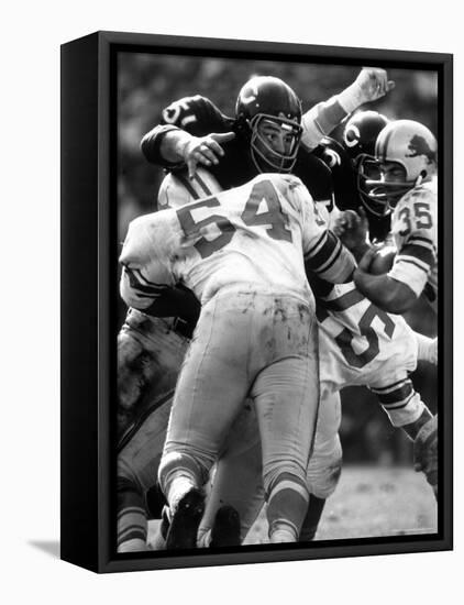 Football: Chicago Bears Dick Butkus No.51 in Action Vs Detroit Lions-Bill Eppridge-Framed Stretched Canvas