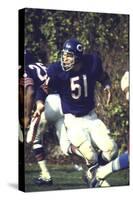 Football: Chicago Bears Dick Butkus No.51 in Action Vs Detroit Lions-null-Stretched Canvas