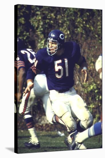 Football: Chicago Bears Dick Butkus No.51 in Action Vs Detroit Lions-null-Stretched Canvas