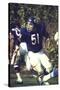 Football: Chicago Bears Dick Butkus No.51 in Action Vs Detroit Lions-null-Stretched Canvas