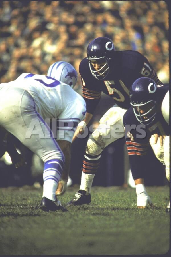 football-chicago-bears-dick-butkus-no-51at-line-of-scrimmage-during-game-vs-detroit-lions_u-L-P75P0O0.jpg?artHeight=900&artPerspective=n&artWidth=900
