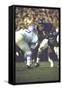 Football: Chicago Bears Dick Butkus No.51At Line of Scrimmage During Game Vs Detroit Lions-null-Framed Stretched Canvas