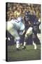 Football: Chicago Bears Dick Butkus No.51At Line of Scrimmage During Game Vs Detroit Lions-null-Stretched Canvas