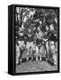 Football Coach Earl Blaik Working with Players Felix Blanchard, Glenn Davis, and Thomas Mcwilliams-null-Framed Stretched Canvas