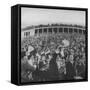 Football Fans at Yale-Harvard Game-null-Framed Stretched Canvas