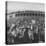 Football Fans at Yale-Harvard Game-null-Stretched Canvas