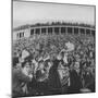 Football Fans at Yale-Harvard Game-null-Mounted Photographic Print