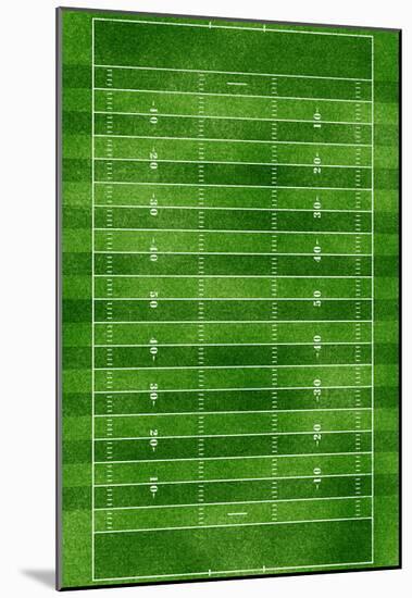 Football Field Gridiron Sports Poster Print-null-Mounted Poster