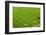 Football field of Creighton University Morrison Football Stadium showing the 10 yard and 20 yard...-null-Framed Photographic Print