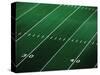 Football Field-Doug Wilson-Stretched Canvas