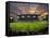Football Game, Forsyth Barr Stadium, Dunedin, South Island, New Zealand - Fisheye-David Wall-Framed Stretched Canvas