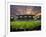 Football Game, Forsyth Barr Stadium, Dunedin, South Island, New Zealand - Fisheye-David Wall-Framed Photographic Print