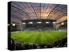 Football Game, Forsyth Barr Stadium, Dunedin, South Island, New Zealand - Fisheye-David Wall-Stretched Canvas