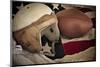 Football Helmet Pigskin & Flag-null-Mounted Art Print