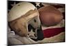 Football Helmet Pigskin & Flag-null-Mounted Art Print