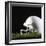 Football Helmet-Sean Justice-Framed Photographic Print