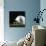 Football Helmet-Sean Justice-Photographic Print displayed on a wall