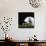 Football Helmet-Sean Justice-Photographic Print displayed on a wall