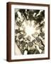 Brown Frame