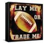 Football I-Mindy Sommers-Framed Stretched Canvas