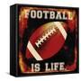 Football II-Mindy Sommers-Framed Stretched Canvas