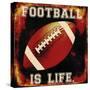 Football II-Mindy Sommers-Stretched Canvas