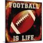 Football II-Mindy Sommers-Mounted Giclee Print