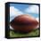 Football in Grass-James Noble-Framed Stretched Canvas