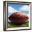 Football in Grass-James Noble-Framed Photographic Print