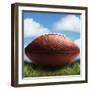 Football in Grass-James Noble-Framed Photographic Print