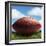 Football in Grass-James Noble-Framed Photographic Print