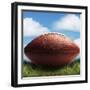 Football in Grass-James Noble-Framed Photographic Print