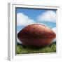Football in Grass-James Noble-Framed Photographic Print