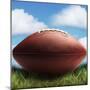 Football in Grass-James Noble-Mounted Photographic Print