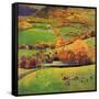 "Football in the Country", October 8, 1955-John Clymer-Framed Stretched Canvas