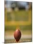 Football on Tee-Robert Michael-Mounted Photographic Print