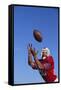 Football Player Catching a Football-DLILLC-Framed Stretched Canvas